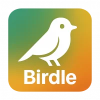 Birdle